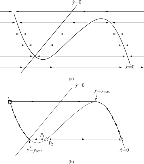 [PDF] A Primer on Mathematical Models in Biology Semantic Scholar