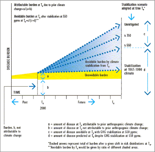  PDF Conceptual Frameworks Of Adaptation To Climate Change And Their 