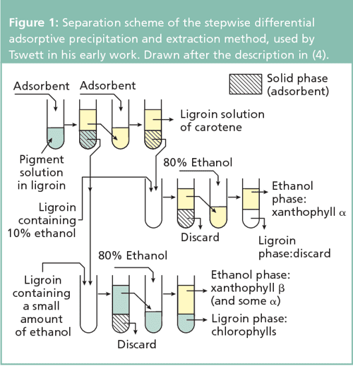 Tswett and the Invention of Chromatography Semantic Scholar