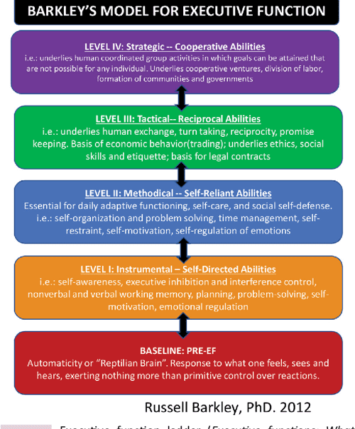 Figure 1 from ADHD and the Case for Support Through Collegiate Age ...