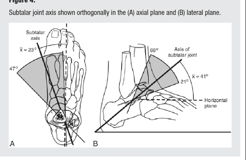 Term paper on coughlin v tailhook picture
