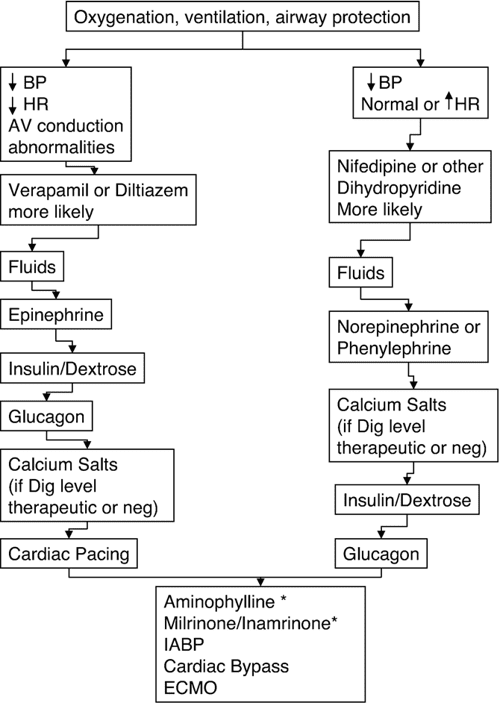 [PDF] CalciumChannel Blocker Overdose Semantic Scholar