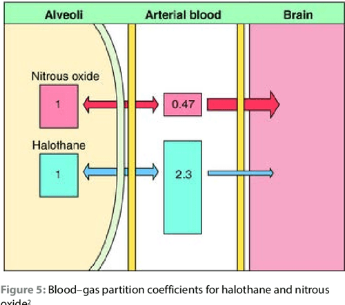 [PDF] The blood–gas partition coefficient | Semantic Scholar