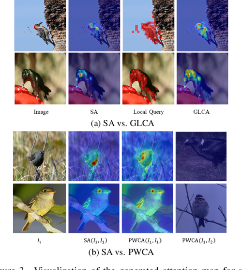 [PDF] Dual CrossAttention Learning for FineGrained Visual