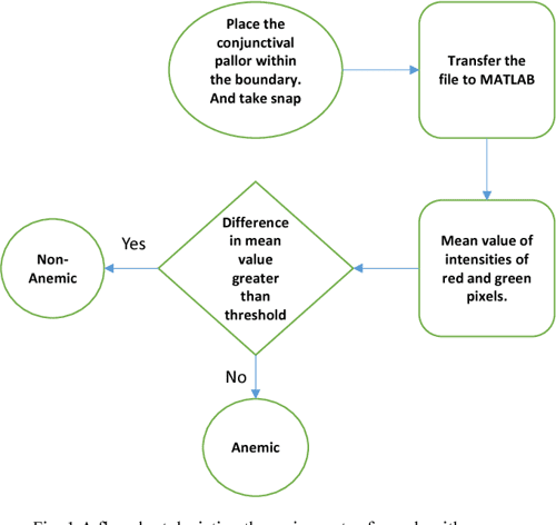 Detection Of Anemia From Image Of The Anterior Conjunctiva Of The Eye 