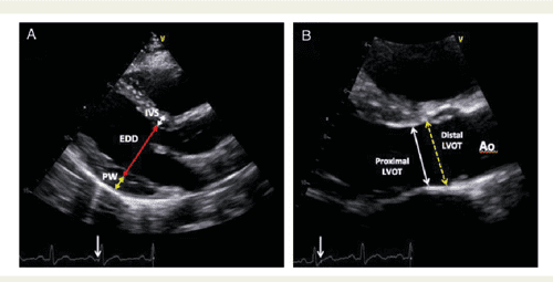 Echo research and practice image