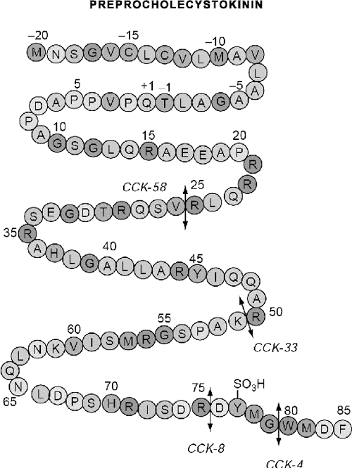 Behavioural and study of molecular mechanisms