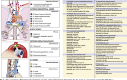 Figure 4 from Staging of lung cancer. | Semantic Scholar