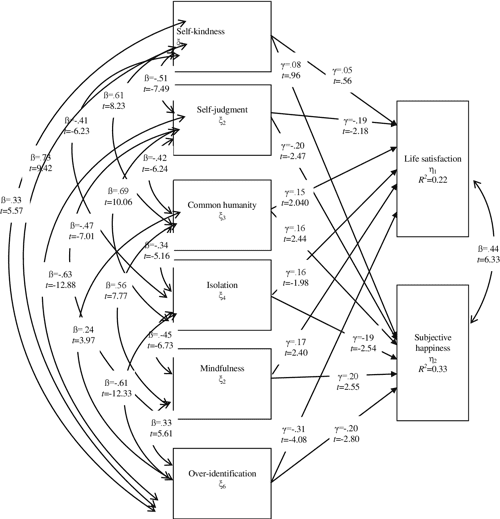 Figure 1 From What Is The Role Of Self compassion On Subjective 