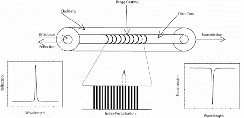 Figure 1 from A Highly-Sensitive Fiber Bragg Grating Transverse Strain ...