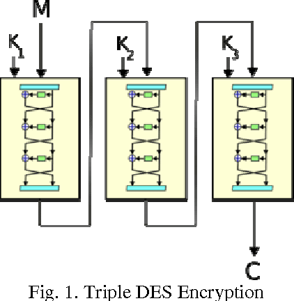 Octopus system essay 07 picture