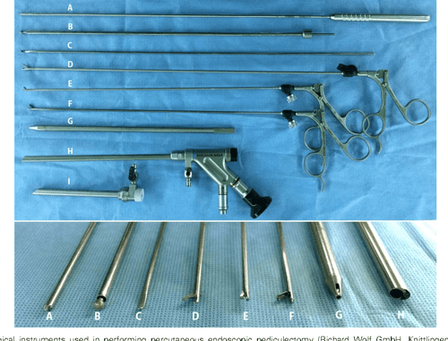 Bones by lee j engfer essays 07 image