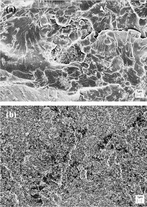 Figure 5 from Mechanical properties of hydroxyapatite whisker