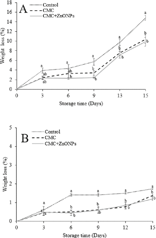 Effect of carboxymethyl cellulose coating containing ZnOnanoparticles