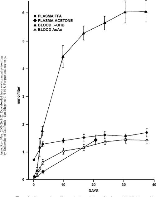 [PDF] Fuel metabolism in starvation. Semantic Scholar
