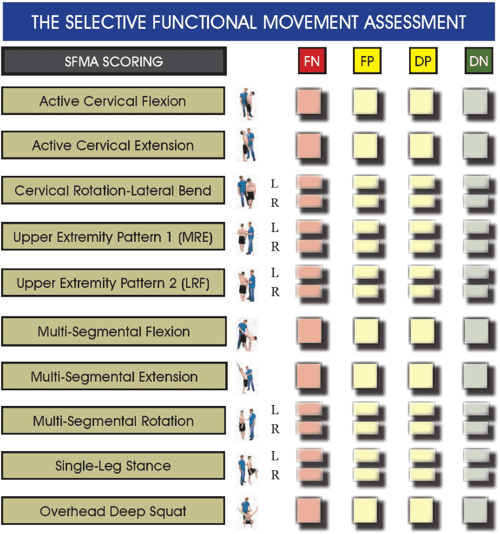 The Value and Effectiveness of the Selective Functional Movement ...