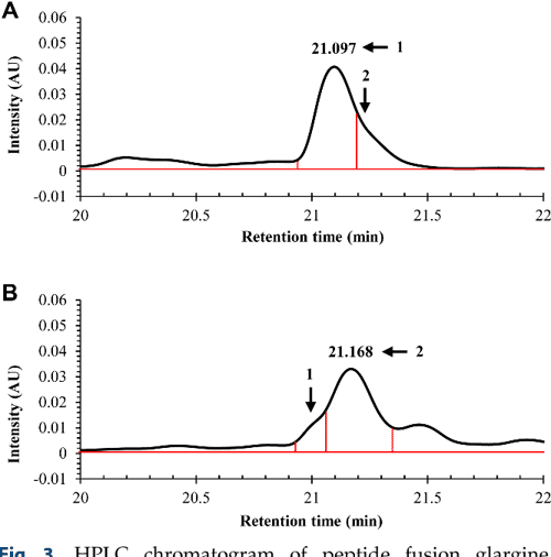 Glargine Insulin Production Process Using Escherichia coli