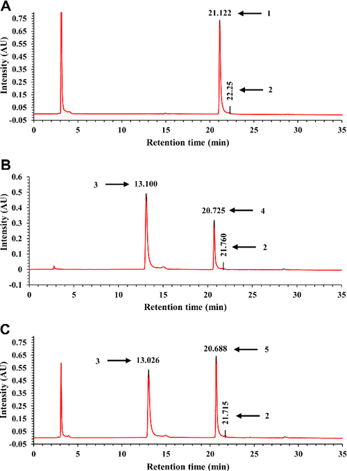 Glargine Insulin Production Process Using Escherichia coli