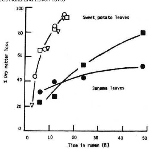 [PDF] The use of the nylon bag technique for the evaluation of