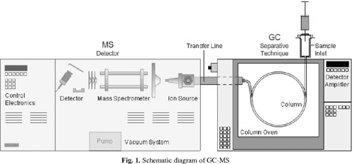 GC-MS: Principle, Technique and its application in Food Science ...