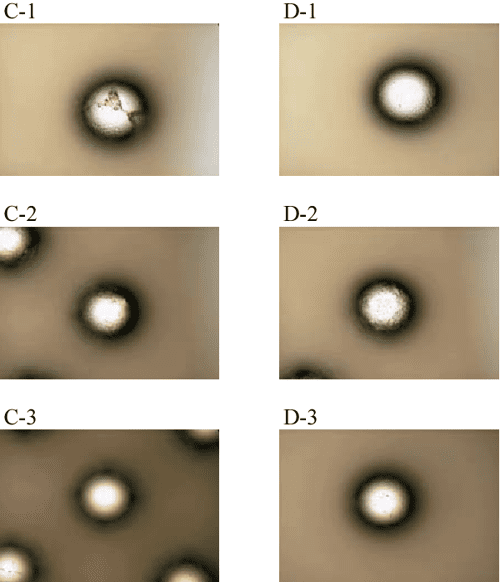 Solder bump oxidation prevention by fabricating thermal oxidation