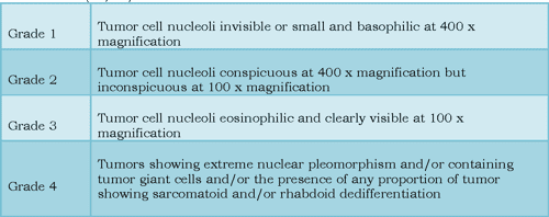 [PDF] The ISUP system of staging, grading and classification of renal ...