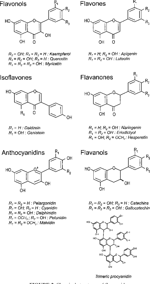 [PDF] Polyphenols food sources and bioavailability. Semantic Scholar