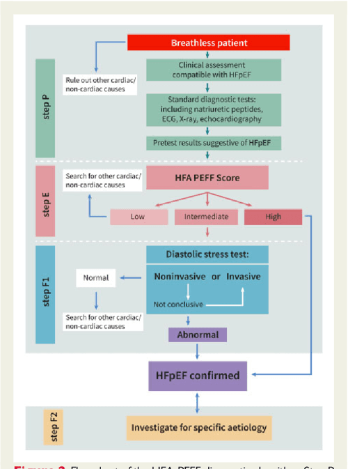 [PDF] How to diagnose heart failure with preserved ejection fraction ...