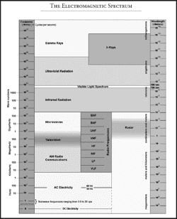 Figure 1 from The Rife Handbook of Frequency Therapy with a Holistic ...