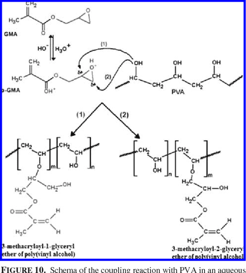 Reaction of glycidyl methacrylate at the hydroxyl and carboxylic groups