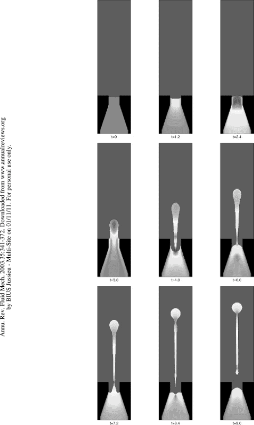 [PDF] LEVEL SET METHODS FOR FLUID INTERFACES Semantic Scholar