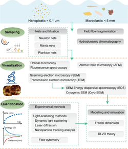 Figure 1 from A review of microplastics aggregation in aquatic ...