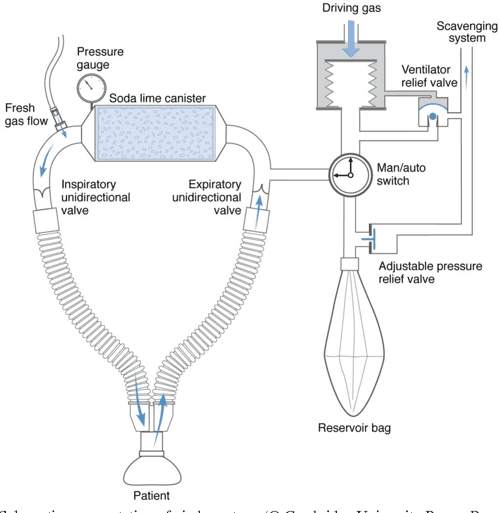 Anaesthesia Breathing Systems Semantic Scholar