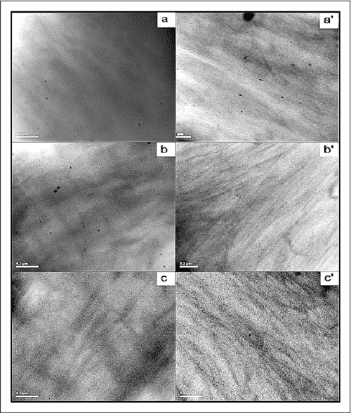 Effect of the blowup ratio on morphology and engineering properties of