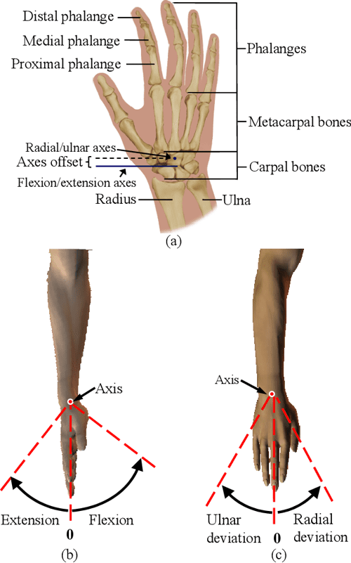 Figure D.3 from Development and Control of UpperLimb Exoskeleton