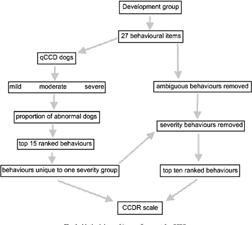 Figure 3 from The canine cognitive dysfunction rating scale (CCDR): a ...