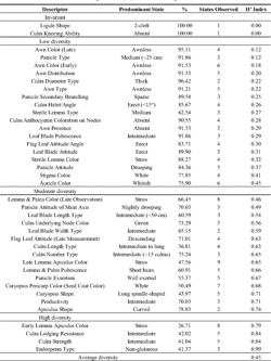Morphological diversity in pakistani rice landraces biology essay 07 image