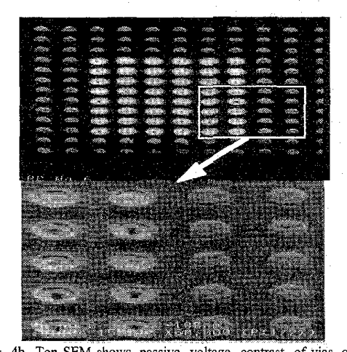 A new failure mechanism by corrosion of tungsten in a tungsten plug
