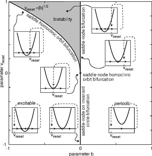 [PDF] Dynamical Systems in Neuroscience The Geometry of Excitability