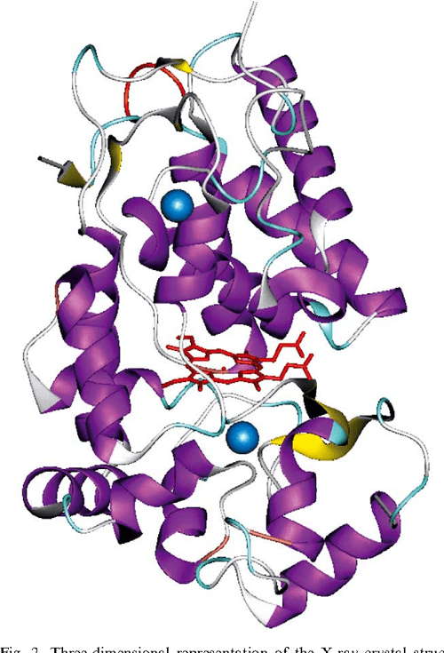 Figure 2 from Horseradish peroxidase a modern view of a classic enzyme