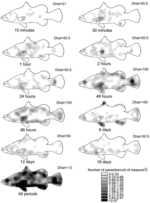 [PDF] INTERACTIONS BETWEEN THE ECTOPARASITE NEOBENEDENIA ( MONOGENEA